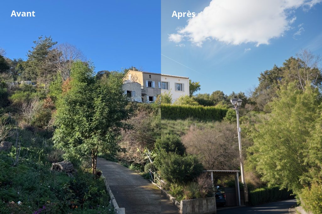 maison 290 M² 3100M² de terrain Penta-di-Casinca
